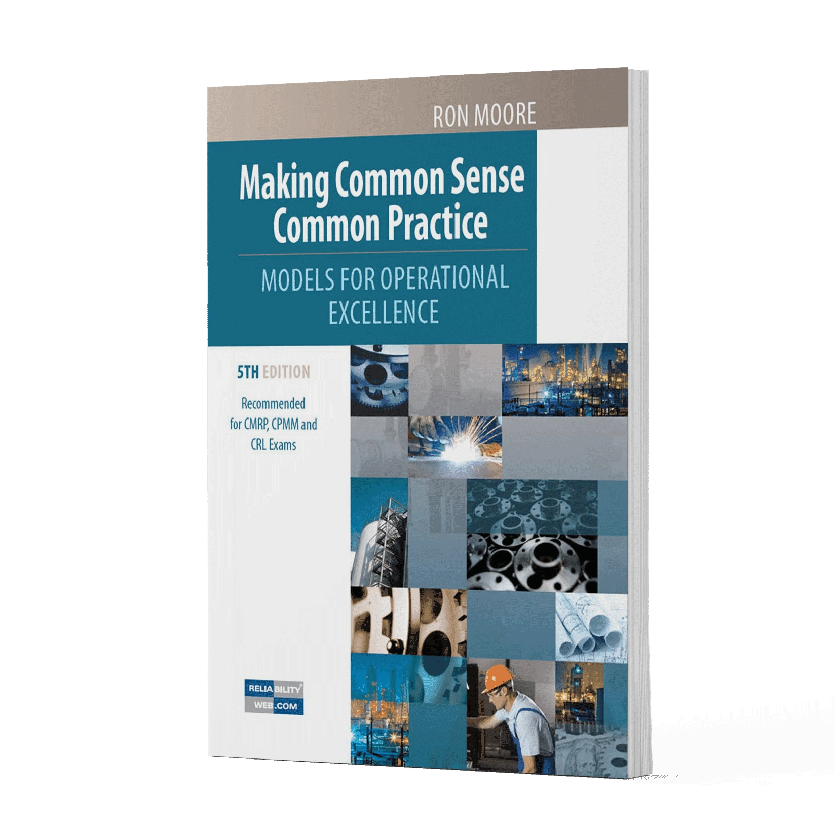 Making Common sense common practice Book
